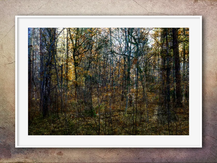 Artwork Skogen by Johan Töpel